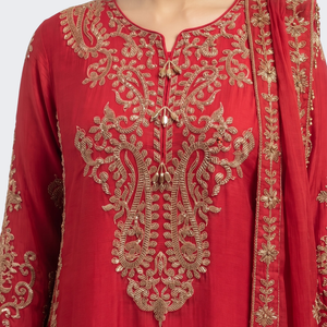 Red Chinon Suit with Cutdana Embroidery 3