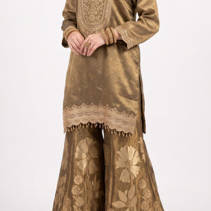 Chiku Tissue Indo Western with Cutdana and Sequins Embroidery 3