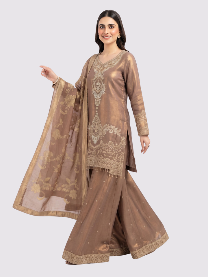 Chiku Tissue Suit with Zari, Pearl and Jarkan Embroidery 1