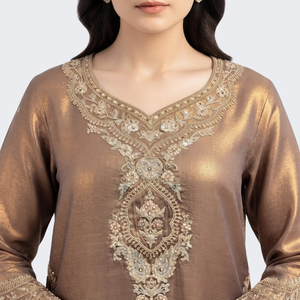 Chiku Tissue Suit with Zari, Pearl and Jarkan Embroidery 3