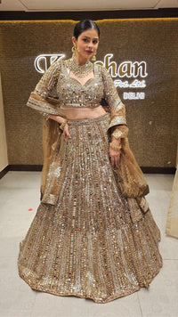 Golden Net Embroidered Lehenga with Dupatta