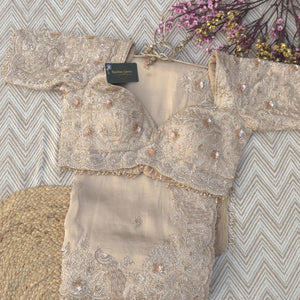 Fawn Tissue Saree Embellished With Zari, Sequins & Cut Dana Work