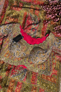 Beautiful Multicolour Tissue Saree Embellished With Kundan, Sequins & Cut Dana Work