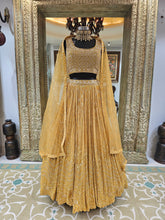 Load image into Gallery viewer, Elegant Yellow Lehenga Choli with Hand Embroidery
