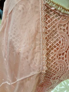 Pink Chikankari Pakistani Suit