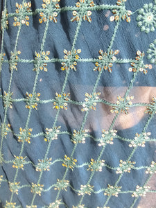 Blue Lehenga Choli with Hand Embroidery