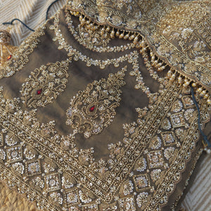 Dusty Brown Green Tissue Saree Embellished With Moti, Sequins & Cut Dana Work