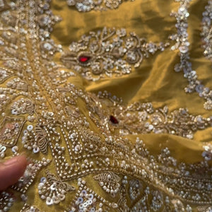 Beige Tissue Saree Embellished With Moti, Sequins & Cut Dana Work
