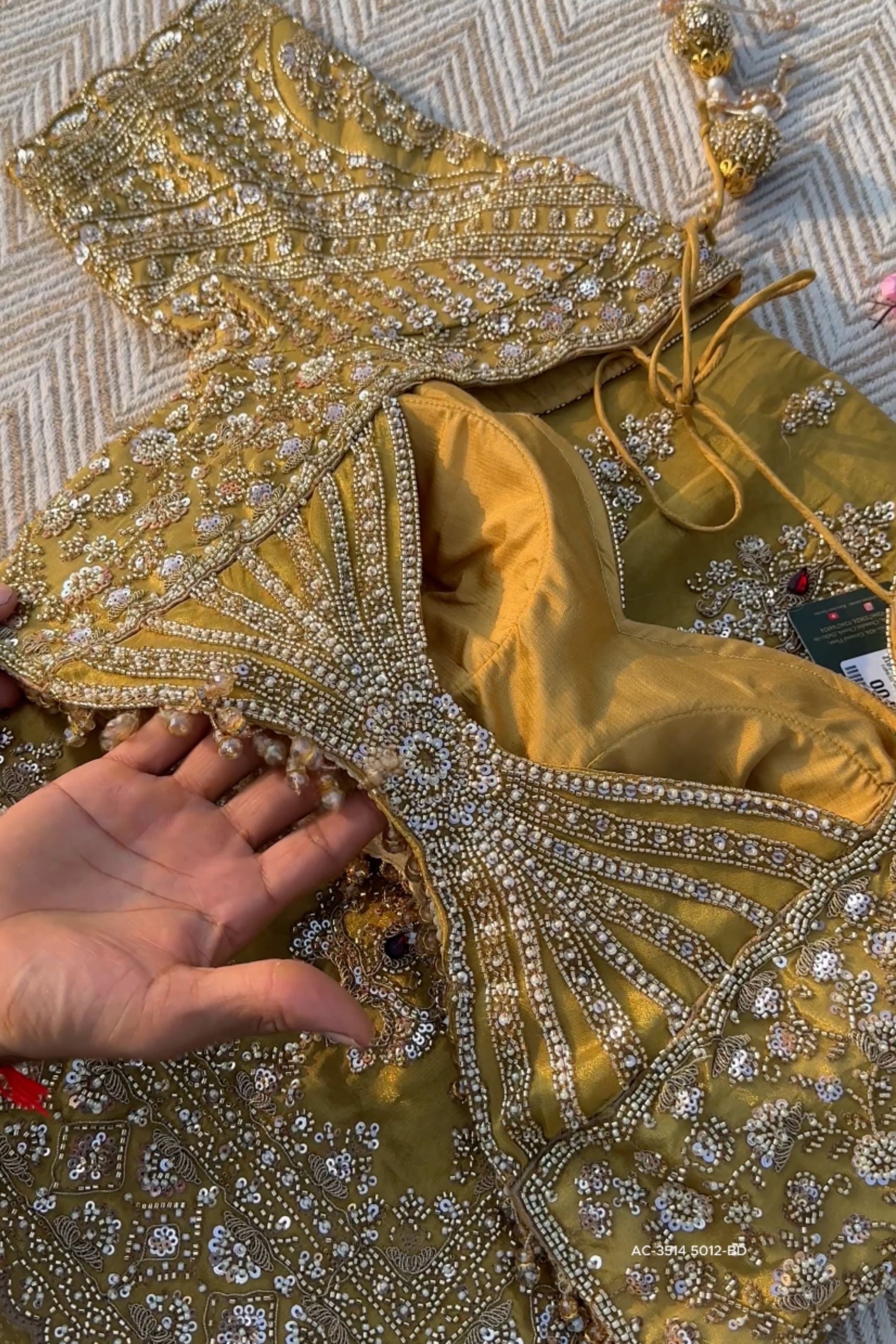 Beige Tissue Saree Embellished With Moti, Sequins & Cut Dana Work