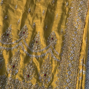 Beige Tissue Saree Embellished With Moti, Sequins & Cut Dana Work