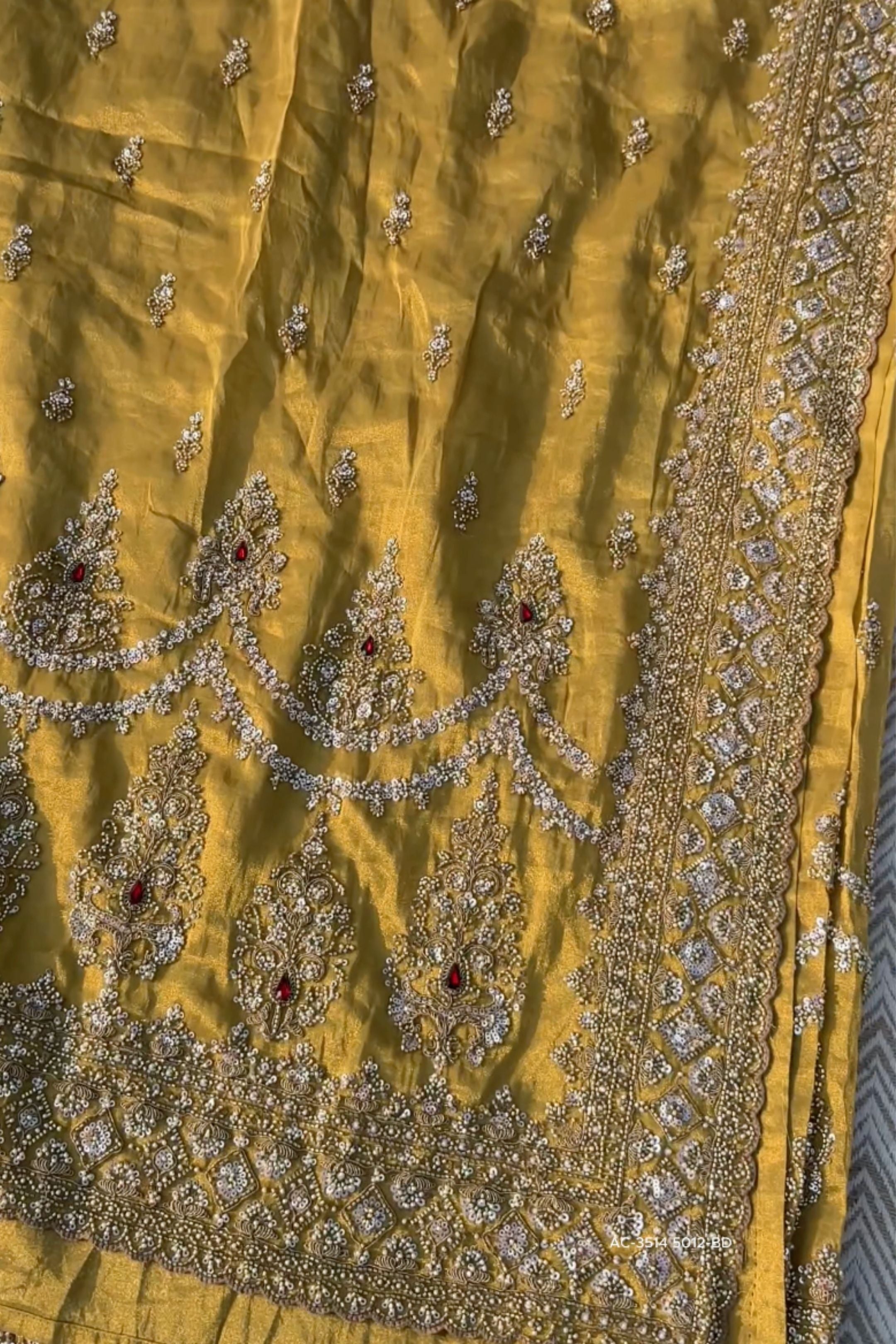 Beige Tissue Saree Embellished With Moti, Sequins & Cut Dana Work