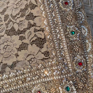 Tussar Net Lace Saree With Moti, Stone, Cutdana & Sequins Work