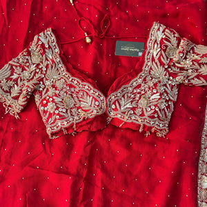 Red Organza Saree Embellished With Sequins & Cut Dana Work