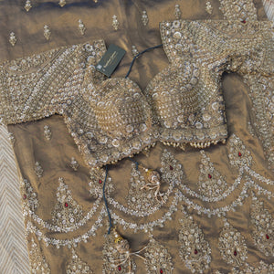 Dusty Brown Green Tissue Saree Embellished With Moti, Sequins & Cut Dana Work