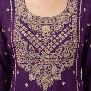 Chinon Indo Western with Cutdana and Sequins Embroidery 3