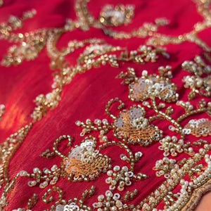 Red Tissue Saree With Moti, Cutdana & Sequins Work