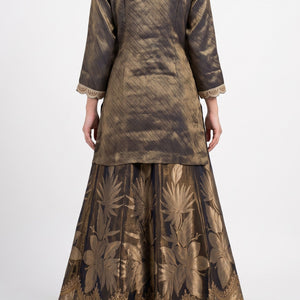Black Tissue Indo Western with Cutdana, Zari and Sequins Embroidery 3