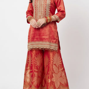 Rani Tissue Indo Western with Cutdana, Zari and Sequins Embroidery 1