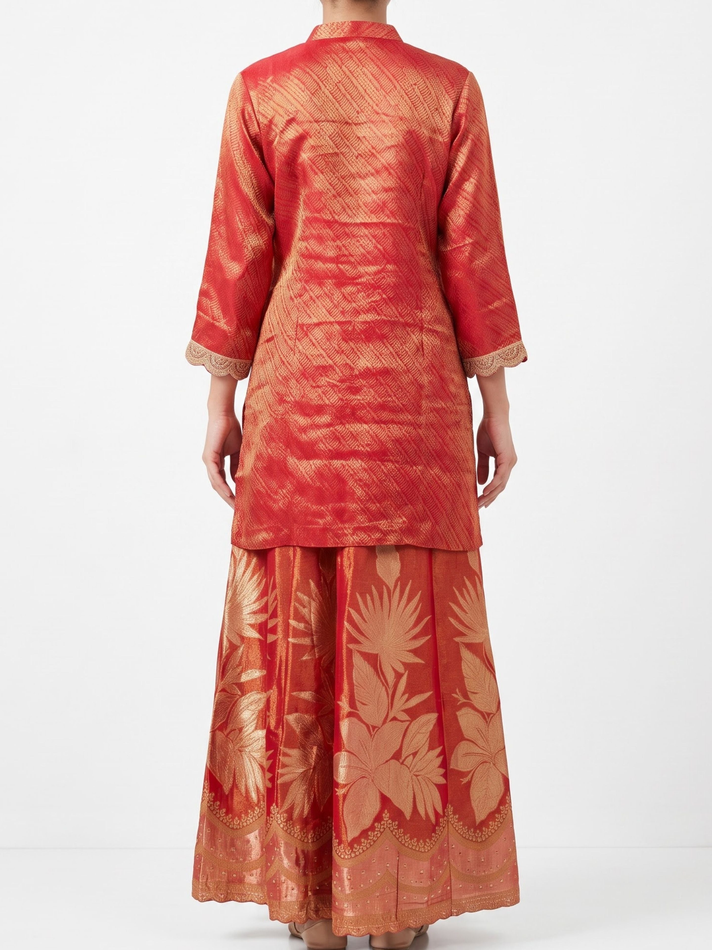 Rani Tissue Indo Western with Cutdana, Zari and Sequins Embroidery 3
