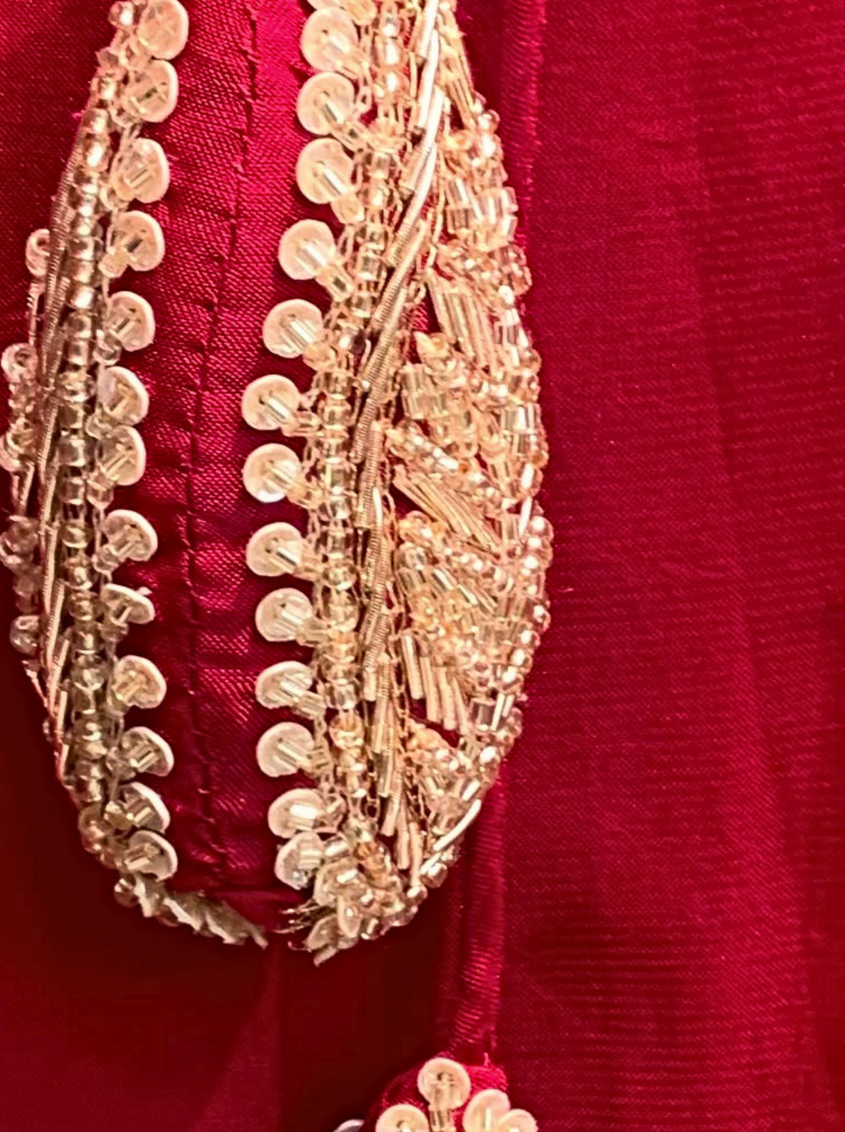 Red Organza Indo Western with Cutdana and Sequins Embroidery 4