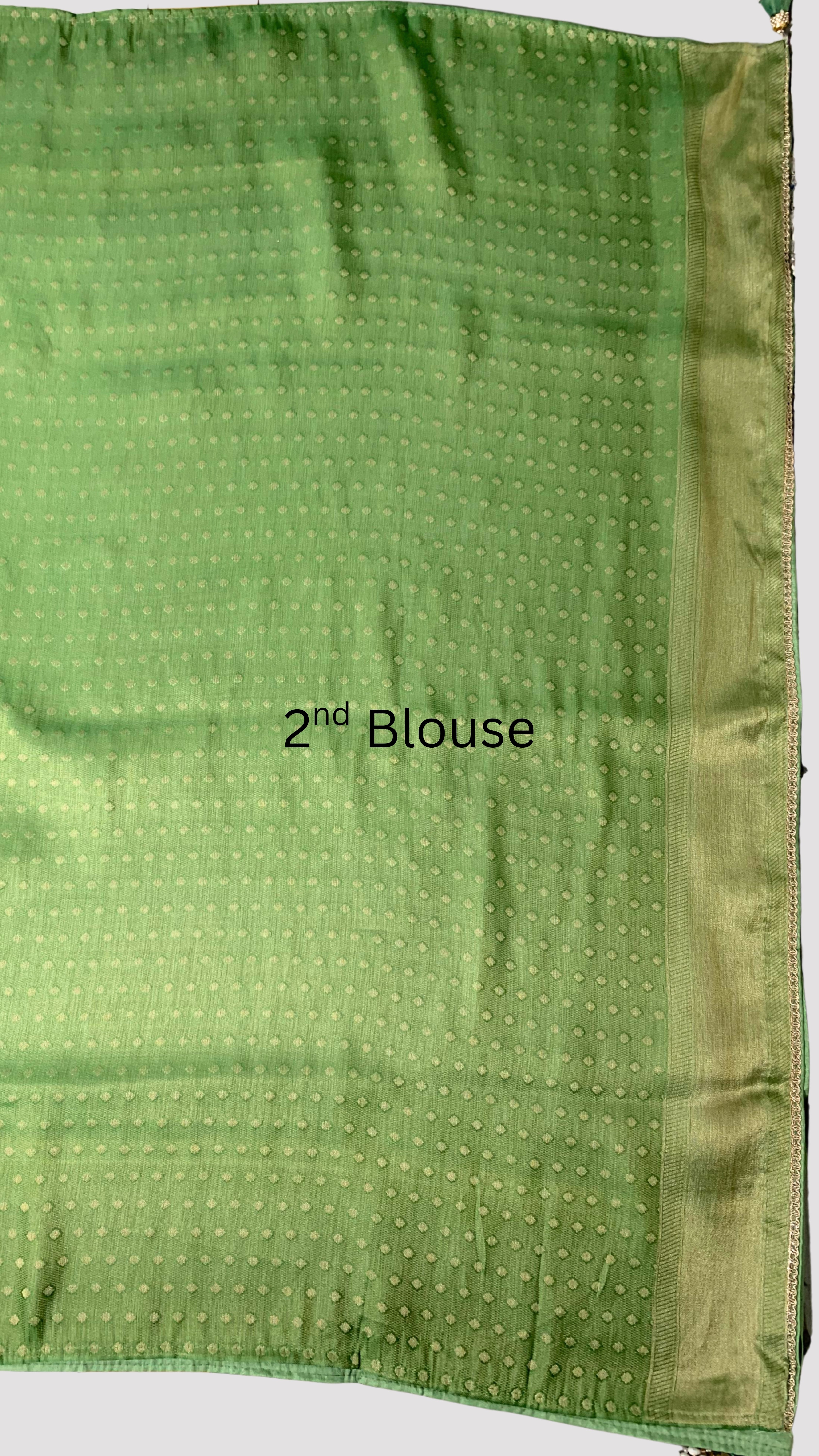 Sage Green Silk Saree with Stitched Blouse and Zari, Cutdana & Sequins Work