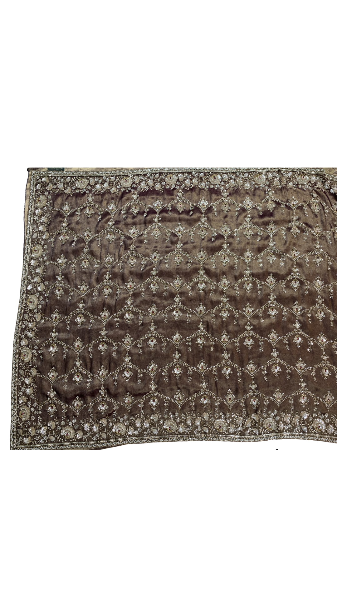Coffee Tissue Saree Embellished With Cut Dana, Stone, Sequins & Pearl Work