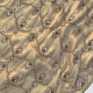 Golden Tissue Saree With Moti, Cutdana & Sequins Work