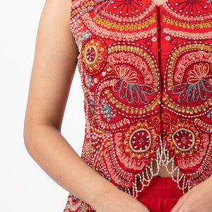 Rani Chinon Indo Western with Cutdana, Sequins, Pearl and Dabka Embroidery 3
