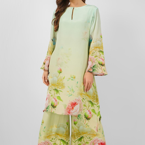 Crepe Indo Western with Printed Embroidery 3