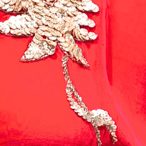 Rani Crepe Indo Western with Cutdana, Sequins and Pearl Embroidery 4