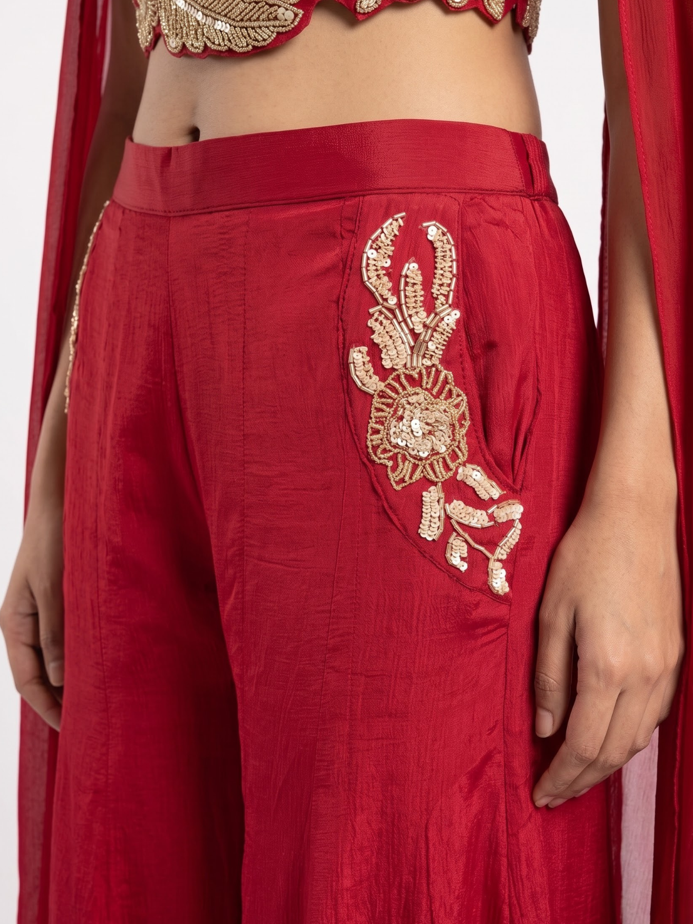 Chinon Indo Western with Cutdana, Zari and Sequins Embroidery 3