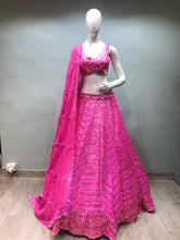Load image into Gallery viewer, Rani Lehenga Organza With Sequence
