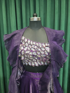 Purple Jimmy choo lehenga With Sequins Work
