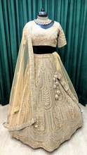 Load image into Gallery viewer, Beige Net Lehenga With Dori and Moti
