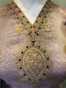 Semistich tissue shimmer suit with golden embroidery