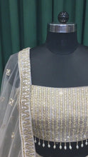 Load and play video in Gallery viewer, Beige Net Lehenga With Cut Dana and Sequins Work
