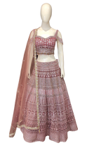 Load image into Gallery viewer, Net Lehenga Choli with Hand Embroidery
