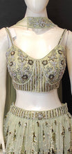 Load image into Gallery viewer, Pista Green Net Lehenga Choli with Zarkan,Cutdana and Sippi Work
