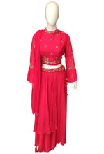 Load image into Gallery viewer, Chinon Blouse and Skirt with Dabka and Sippi Work
