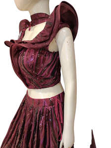 Indo western Skirt Choli Dupatta With Sequins Work